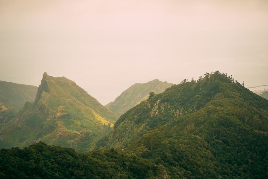 早市油锅边上的旅行课